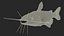 Channel Catfish Ictalurus Punctatus 3D
