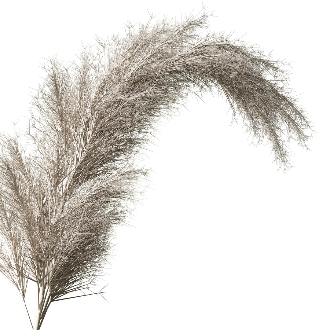 Plants Bouquet 11 3D https://p.turbosquid.com/ts-thumb/fZ/OdoHtk/kw/03/jpg/1783490359/1920x1080/fit_q87/0c0c0a53fdb4642645eb40ad923892f6e89ba51b/03.jpg