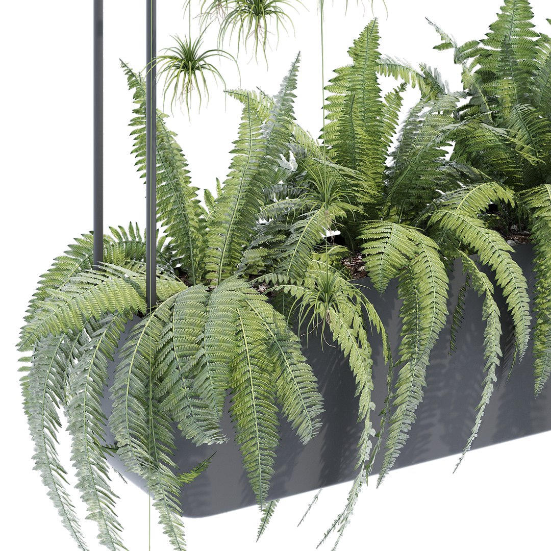 Metal wall planters 3D https://p.turbosquid.com/ts-thumb/fZ/TJm17p/9D/0qs_5/jpg/1674761431/1920x1080/fit_q87/795a4c2bdd8da6a2fcb2baf3753b5e2129ed9f80/0qs_5.jpg
