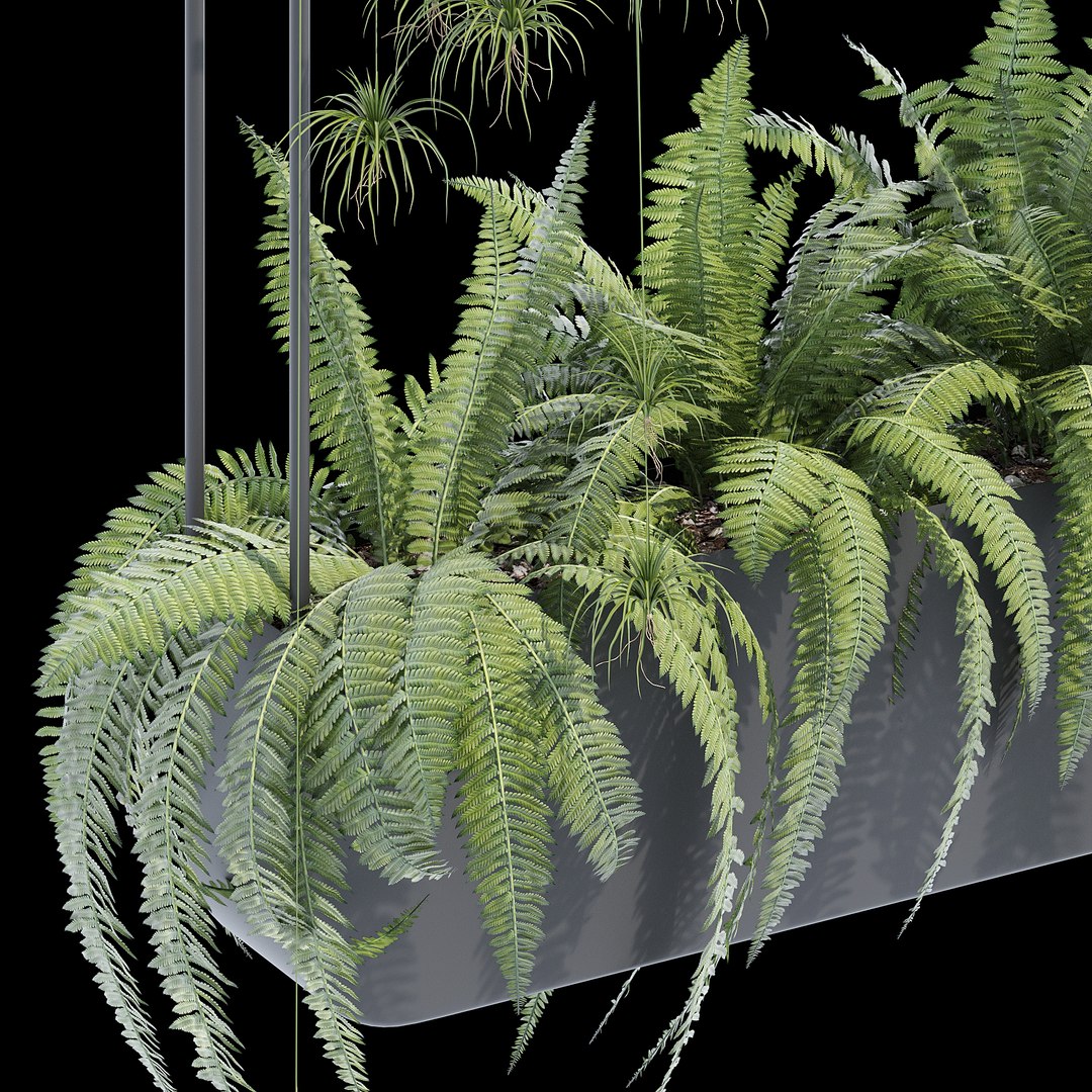 Metal wall planters 3D https://p.turbosquid.com/ts-thumb/fZ/TJm17p/LR/qs_5/jpg/1674761514/1920x1080/fit_q87/5cdda346715771b03892c9051e519e59b7f310ac/qs_5.jpg