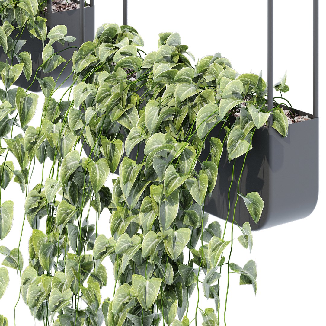 Metal wall planters 3D https://p.turbosquid.com/ts-thumb/fZ/TJm17p/rM/0qs_6/jpg/1674761445/1920x1080/fit_q87/449d6fe7c1699cec91c087d3b4fce06d91ce31fe/0qs_6.jpg