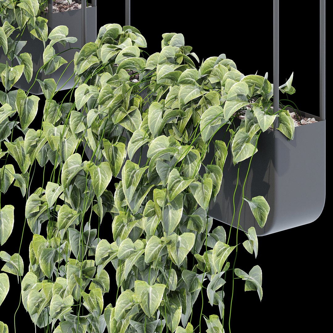 Metal wall planters 3D https://p.turbosquid.com/ts-thumb/fZ/TJm17p/ua/qs_6/jpg/1674761525/1920x1080/fit_q87/13b26f9f3e965931ae479aa504bc2384b0548f93/qs_6.jpg