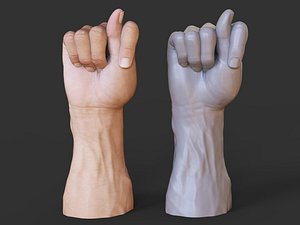 3D model Male Hand Pose 10