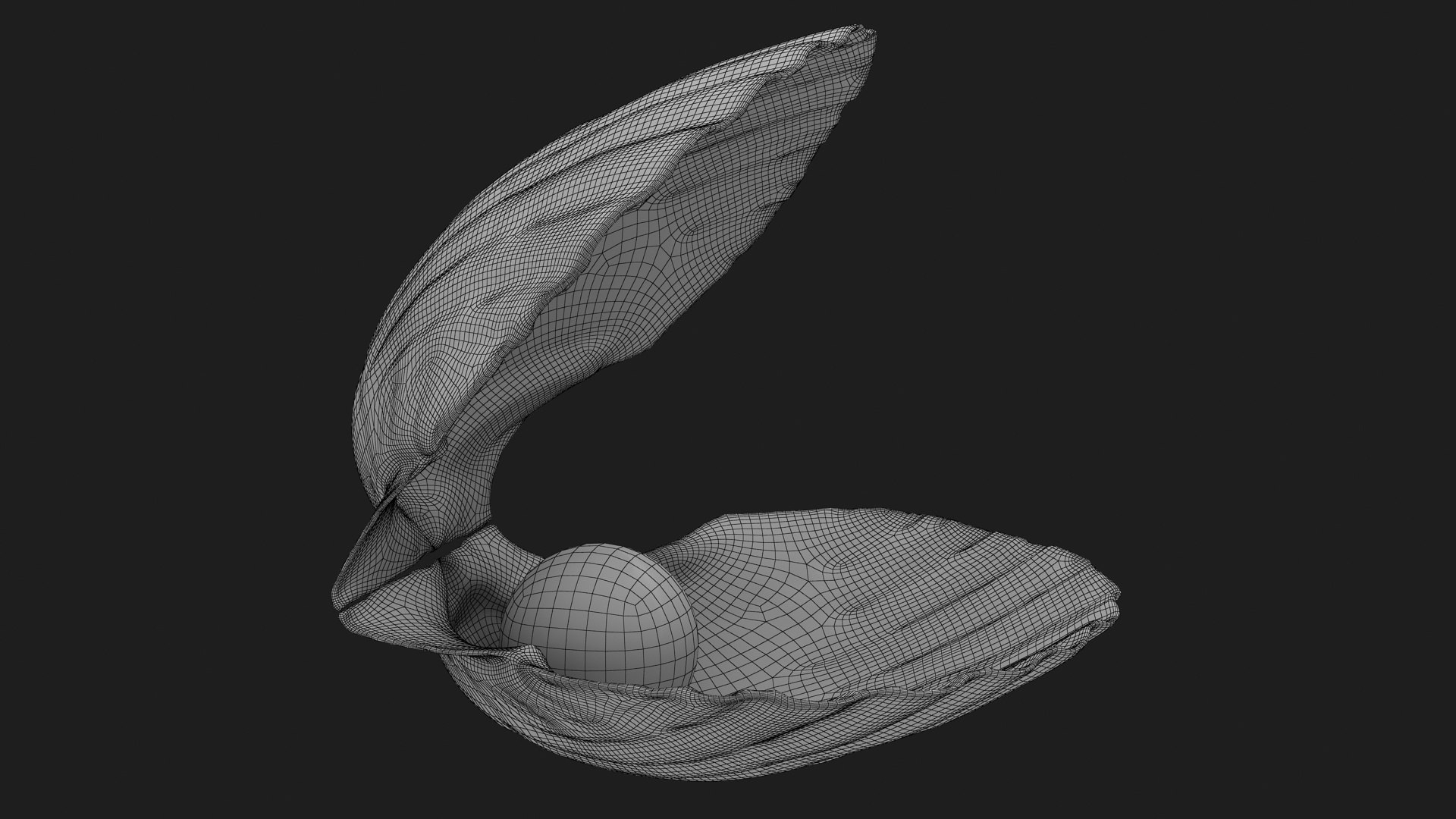 Clam Shell Pearl 01 Model - TurboSquid 2228245