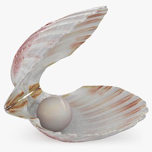 Clam Shell Pearl 01