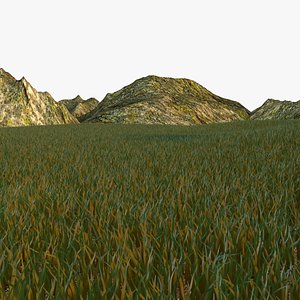 grassland grass 3d model