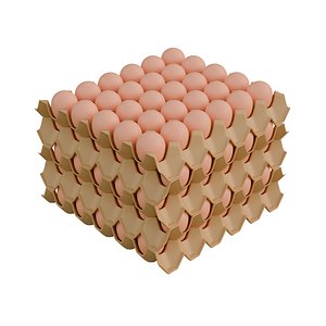 Egg Paper Tray 3D