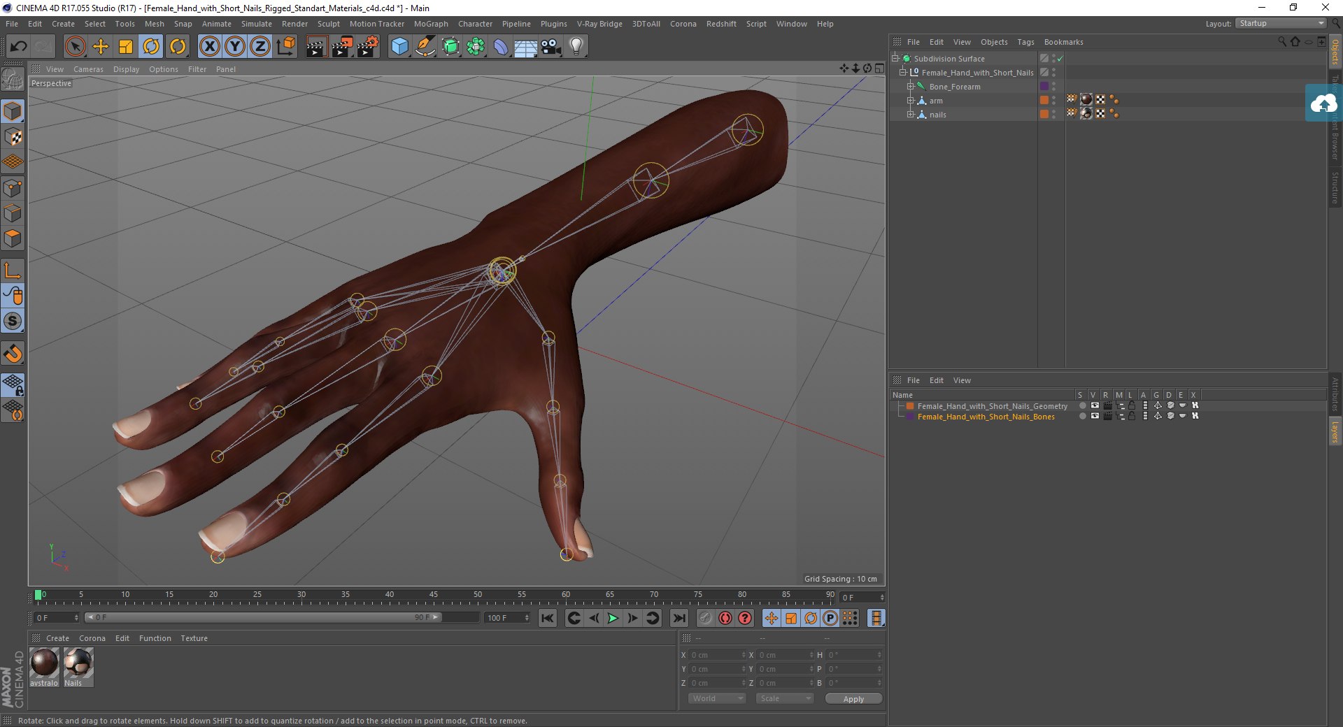 Female Hand Short Nails Model - TurboSquid 1484684