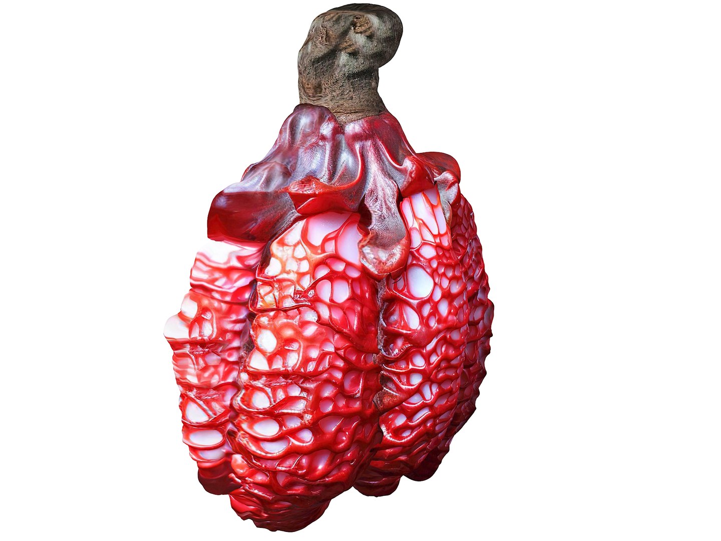 Magical Fruits 3D model https://p.turbosquid.com/ts-thumb/fa/MmpPNy/Zl/19/jpg/1690379629/1920x1080/fit_q87/0fd88698ba0edc00972ca8eebd58b6b704ca22d8/19.jpg