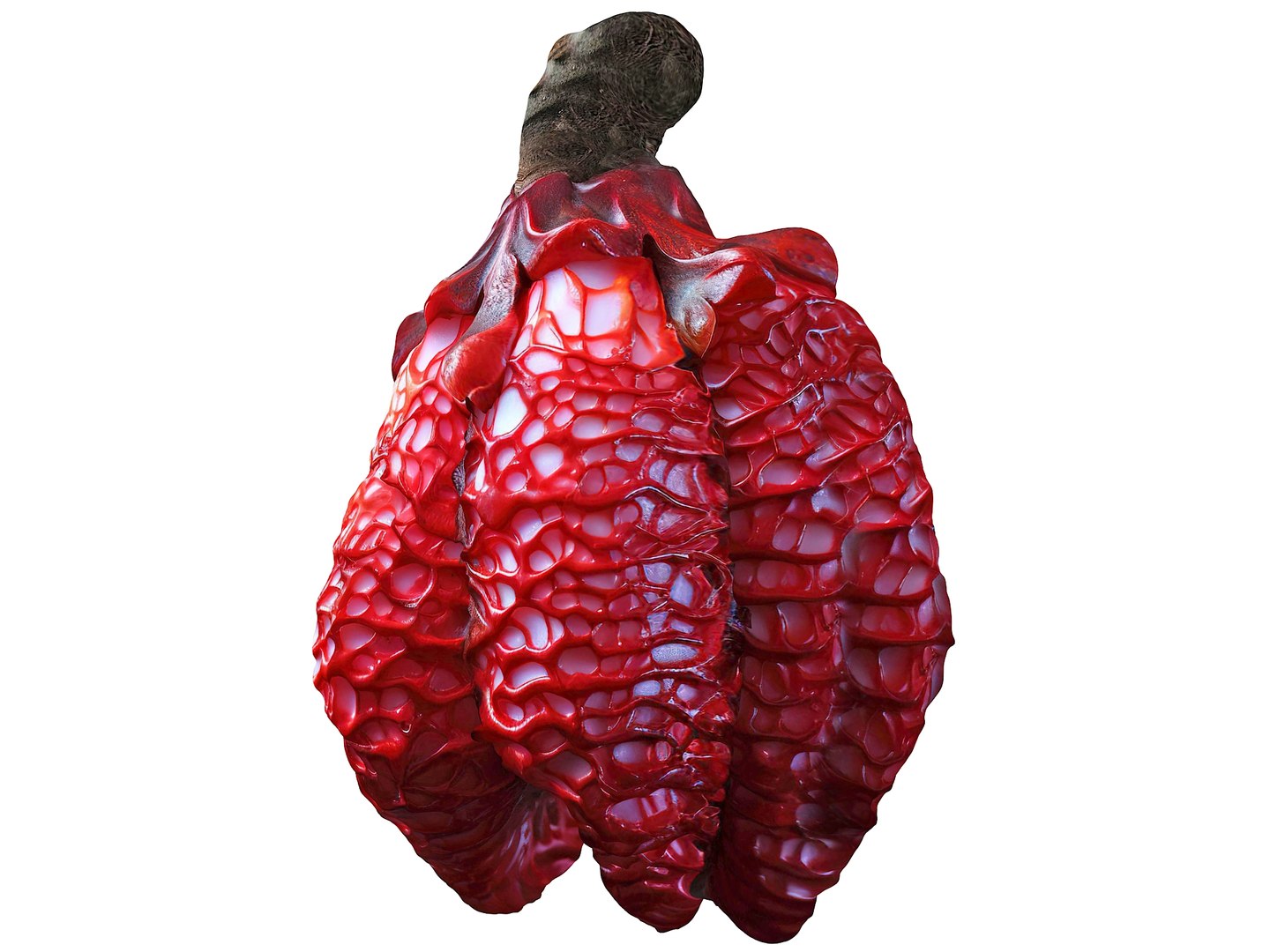 Magical Fruits 3D model https://p.turbosquid.com/ts-thumb/fa/MmpPNy/fT/18/jpg/1690379624/1920x1080/fit_q87/1543ddae056634247d5a51ad7ddc2d1bdc1f4e14/18.jpg