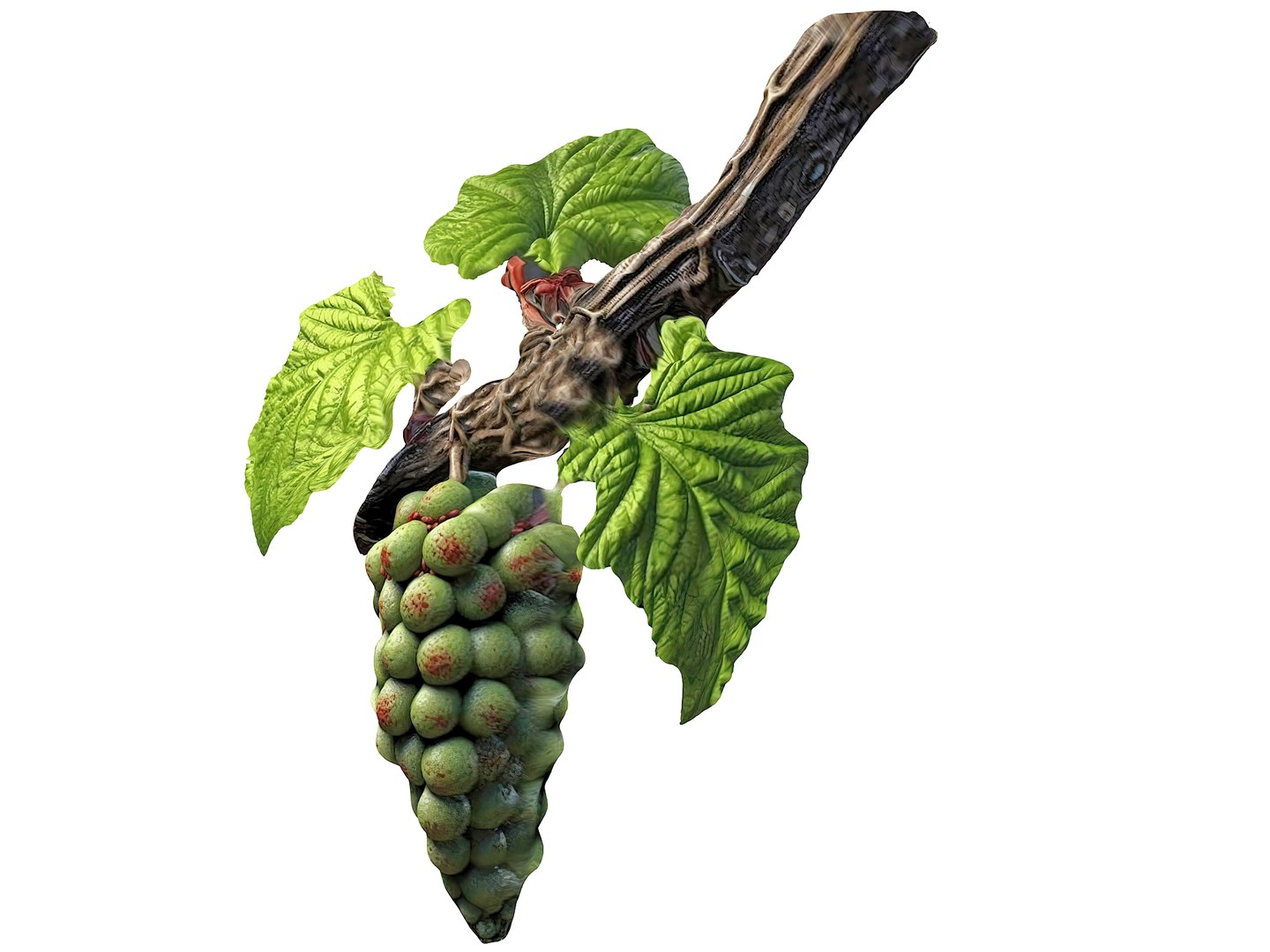 Magical Fruits 3D model https://p.turbosquid.com/ts-thumb/fa/MmpPNy/px/15/jpg/1690379613/1920x1080/fit_q87/80294ce1e7966ef677e4785f67e7b4bd4d29b666/15.jpg