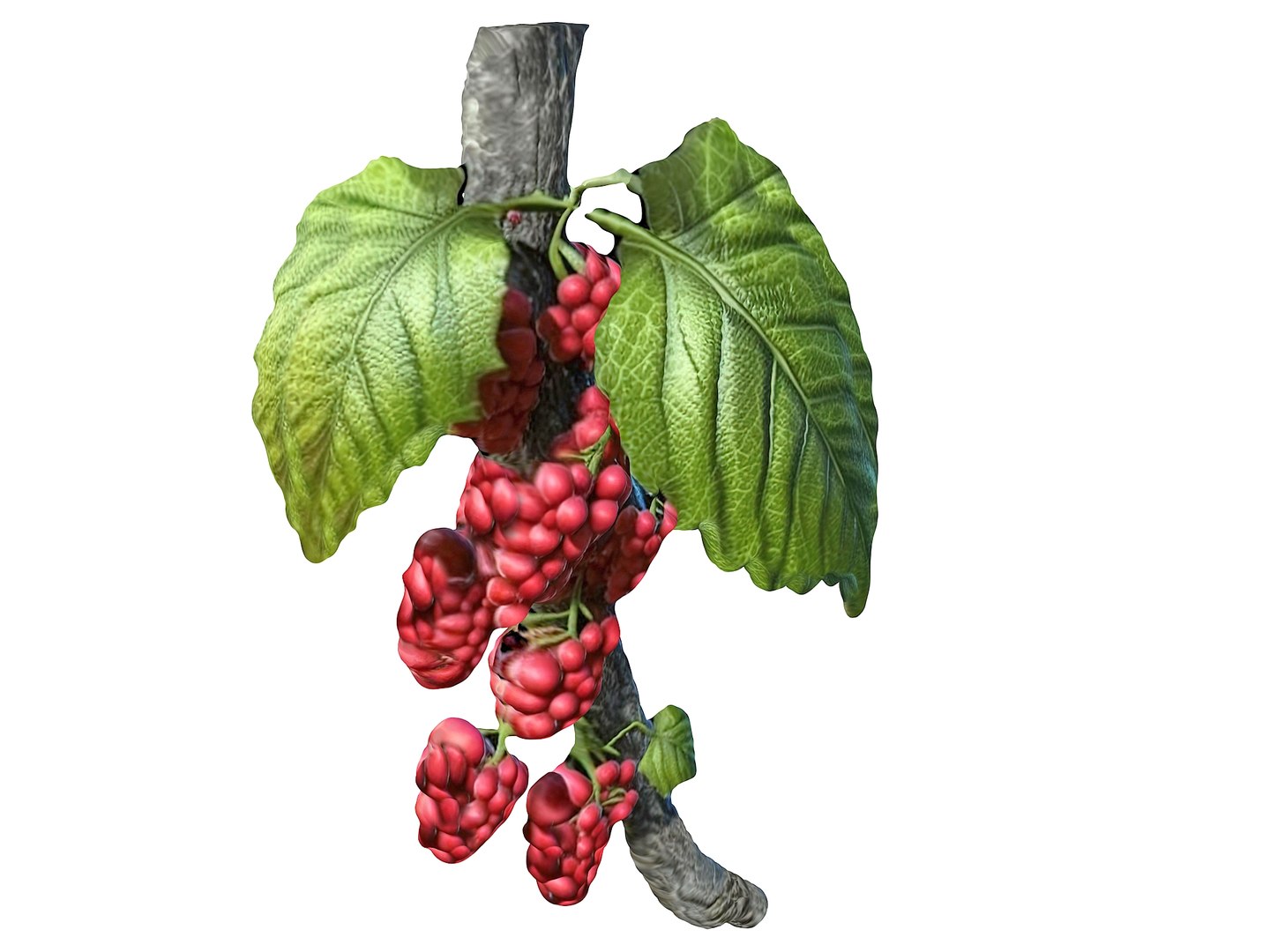 Magical Fruits 3D model https://p.turbosquid.com/ts-thumb/fa/MmpPNy/sr/4/jpg/1690379563/1920x1080/fit_q87/7c180dc10fb4862f76996504c389a8badc434a44/4.jpg