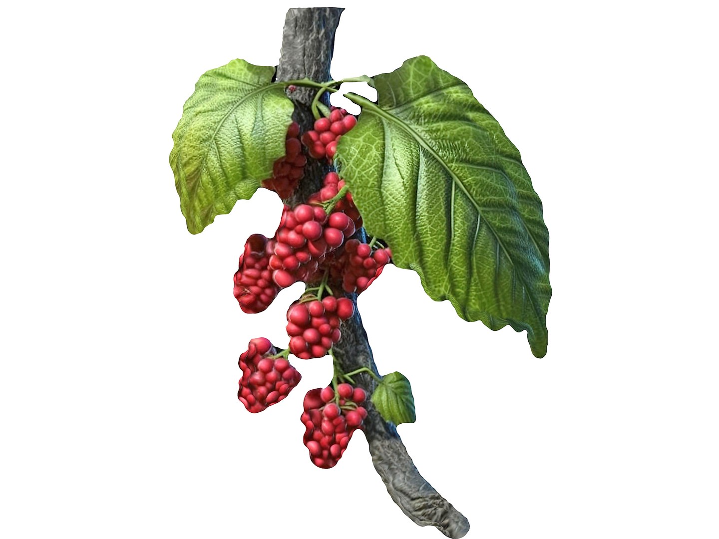 Magical Fruits 3D model https://p.turbosquid.com/ts-thumb/fa/MmpPNy/xn/2/jpg/1690379553/1920x1080/fit_q87/b66f4afcc13cffc9214e67ca97388862d9c9a858/2.jpg