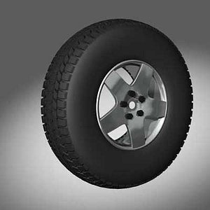 The Car Tyre