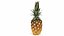 Frutas tropicales
