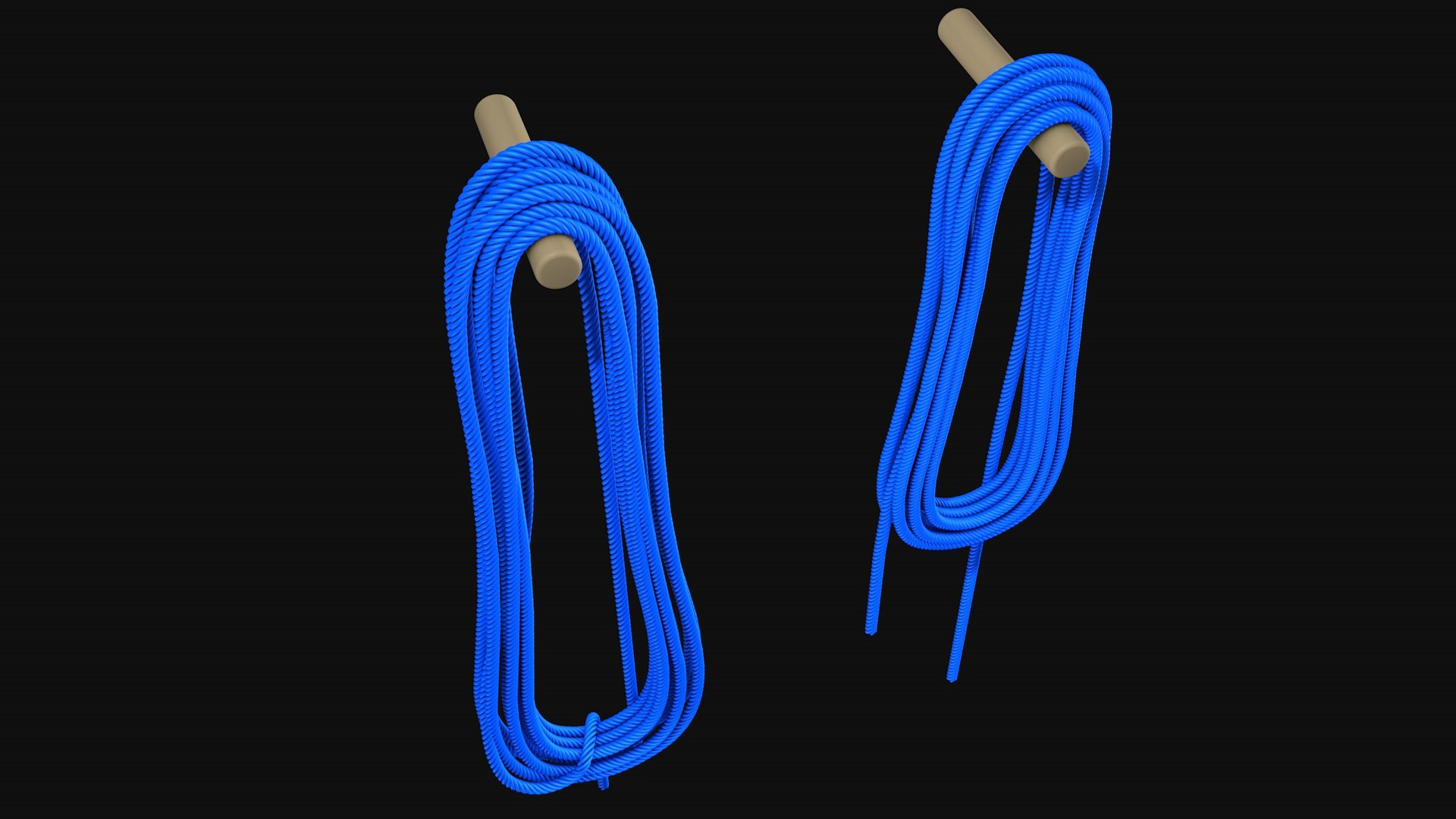 High Poly 2 ROPES Model - TurboSquid 2300031