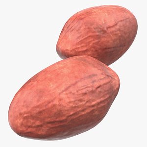 3D peeled peanut nuts
