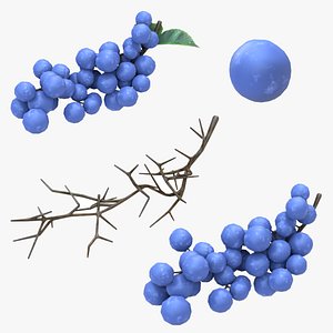 3D Set of Low Poly Grapes model