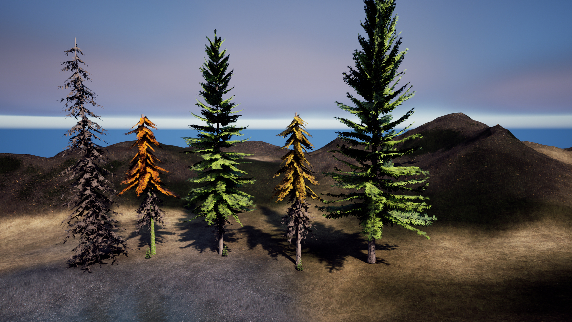 Trees pack. Деревья 3d ель. spruce trees pack.