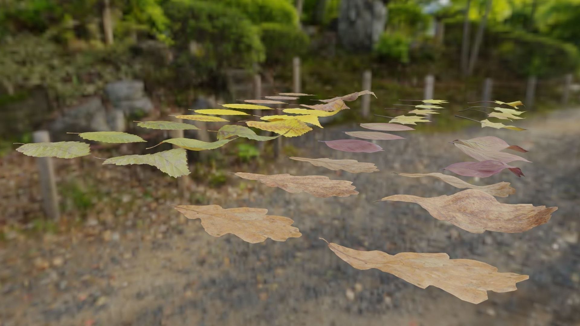 3D Fall Autumn Leaves Pack - TurboSquid 1807651