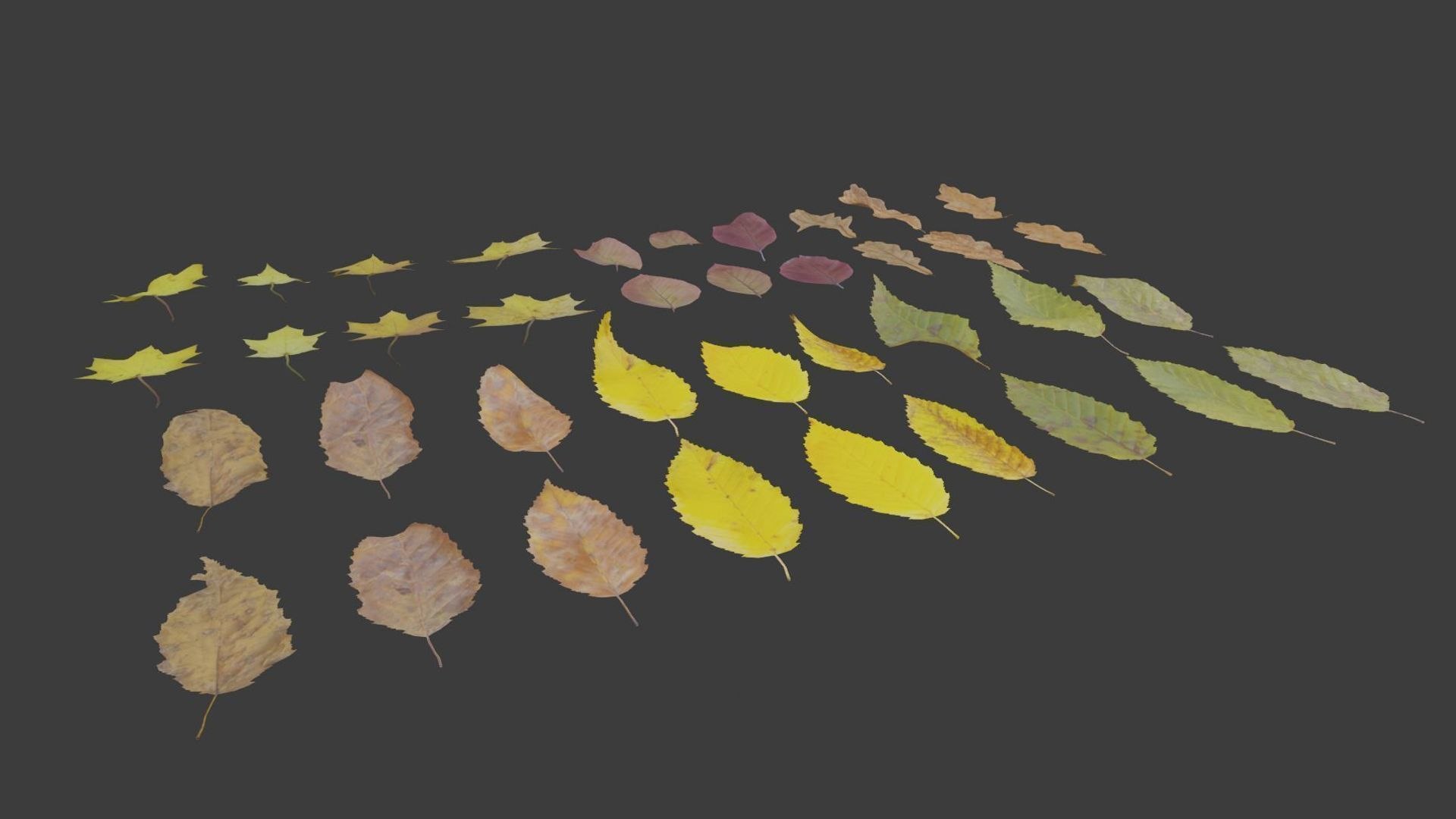 3D Fall Autumn Leaves Pack - TurboSquid 1807651