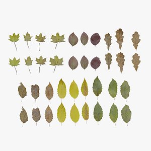 3D Fall Autumn Leaves Pack