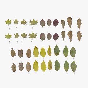 Fall Autumn Leaves Pack