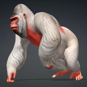 3D Gorilla-A2