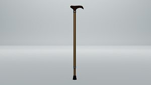 Walking stick with a T-handle
