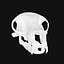 3D Lemur Skull