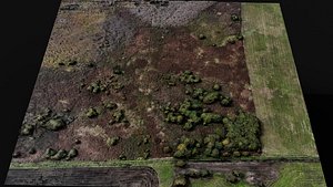 landscape grass fields 400m patch PBR photogrammetry 3D model