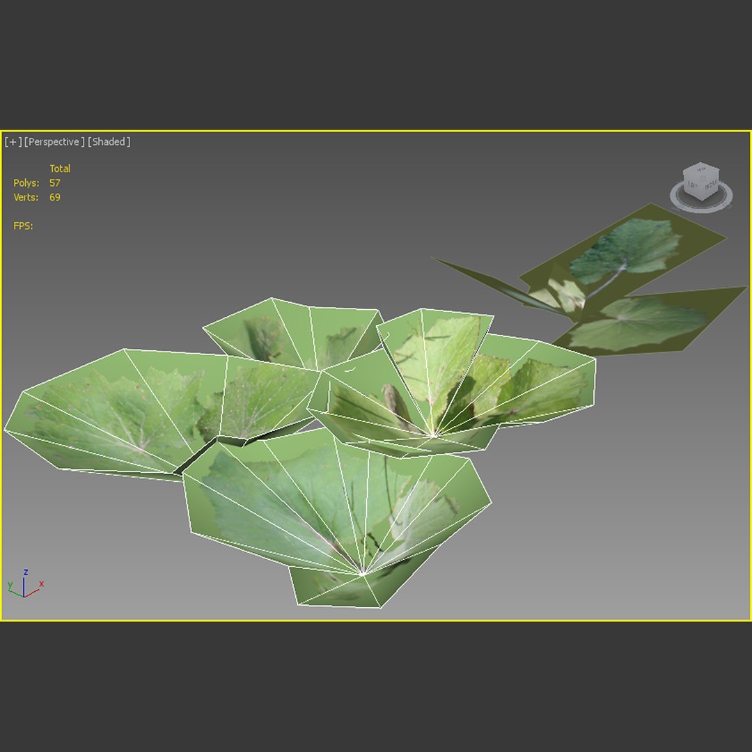 plants leaves 3D model https://p.turbosquid.com/ts-thumb/fb/XVv1R2/uTKMPICg/18/jpg/1602869035/1920x1080/fit_q87/57afaac998b6902ba3283c1ce9933012b48cc3d1/18.jpg