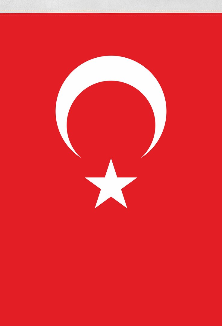 flag 3D model https://p.turbosquid.com/ts-thumb/fb/hPEqGE/RVMYwFWT/bayrak_copy/jpg/1491367355/1920x1080/fit_q87/cbc3304e91e0f88bf48ea59a27a7cb1660789682/bayrak_copy.jpg