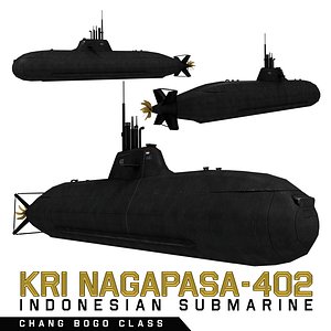 Changbogo Class Submarine