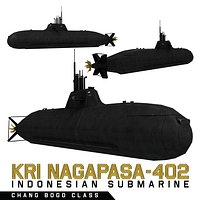 Changbogo Class Submarine