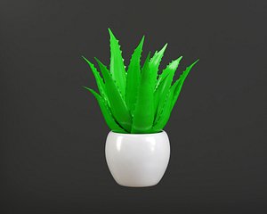 Aloe Vera Plant model