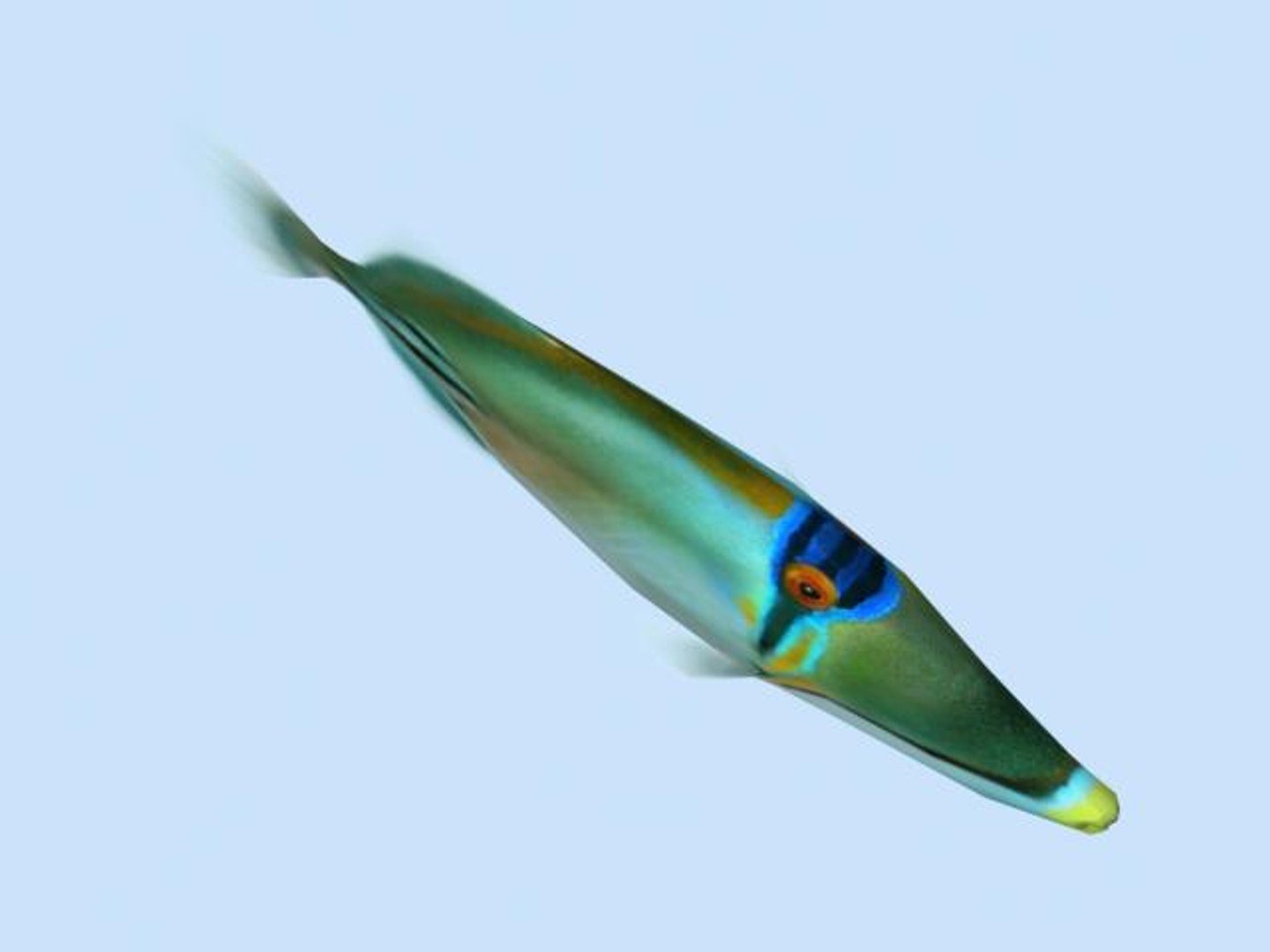 max picasso triggerfish https://p.turbosquid.com/ts-thumb/fb/ySuJaD/8dnKm3Kw/picassotriggerfish4/jpg/1272706628/1920x1080/fit_q87/70ad3429e5e20ad44fd7fca79fcf135c4a9e36c8/picassotriggerfish4.jpg