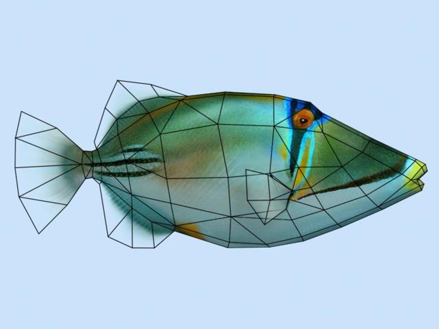 max picasso triggerfish https://p.turbosquid.com/ts-thumb/fb/ySuJaD/XcNxRJ8R/picassotriggerfish2/jpg/1272706585/1920x1080/fit_q87/a8a900df251d8c2d34daec1696087827859ca126/picassotriggerfish2.jpg