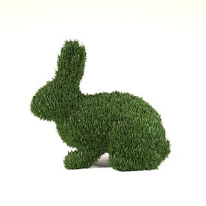 Bush Rabbit 3D model