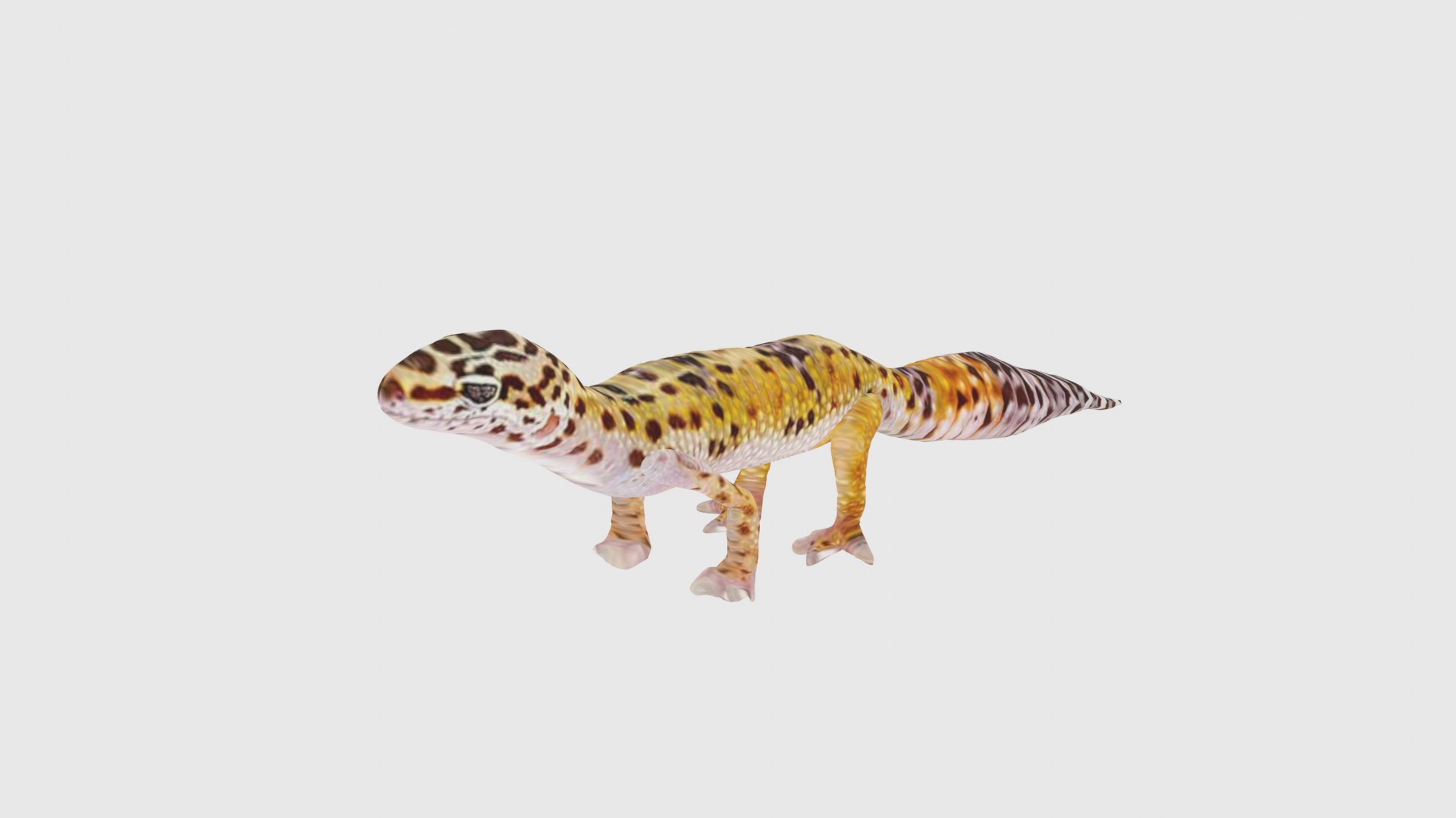 Low Poly Gecko Rigged With Realistic Texture model - TurboSquid 1876184