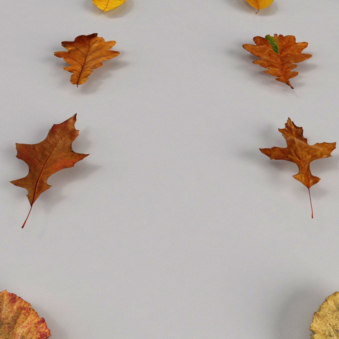 3d model realist leave https://p.turbosquid.com/ts-thumb/fc/TlzvvE/gBJNdFis/preview_04/jpg/1420826932/1920x1080/fit_q87/cccc9e7447423beb5c4d6f3c8260c4036e723fe0/preview_04.jpg