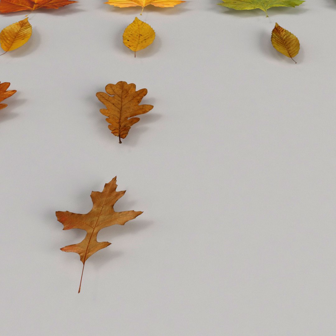 3d model realist leave https://p.turbosquid.com/ts-thumb/fc/TlzvvE/iF8cJqGL/preview_05/jpg/1420826932/1920x1080/fit_q87/85e6e0b2a25370aaa3e03d1a86441ecb2181a9fb/preview_05.jpg