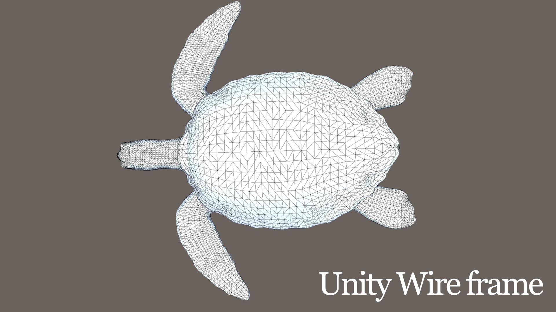 3D Model SeaTurtle - TurboSquid 2107861