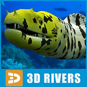 Moray 01 by 3DRivers
