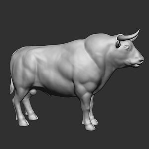Bull base mesh