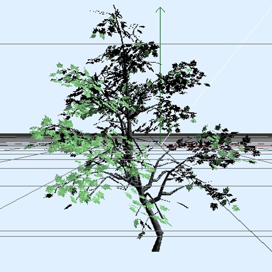 maple tree 3d c4d https://p.turbosquid.com/ts-thumb/fc/lQPJX1/Se7fgv7L/image1/jpg/1215688464/1920x1080/fit_q87/2e9ac1f6fe233e33579561634146c441730a4e7a/image1.jpg