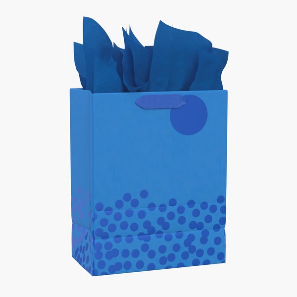 Hallmark 13 Large Gift Bag with Tissue Paper 3D model - TurboSquid 2088066