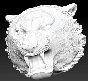 Tiger angry head