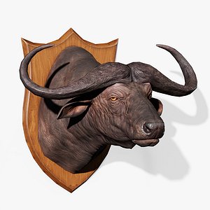 Trophy Cape Buffalo
