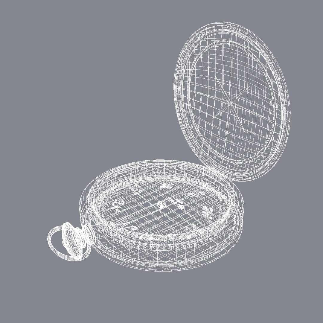 compass maps 3d model